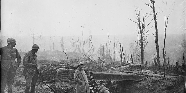 La bataille de Verdun : Un tournant de la Première Guerre mondiale - Histographe.fr